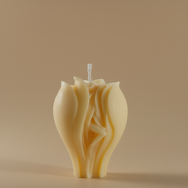 Hidden Lady Candles